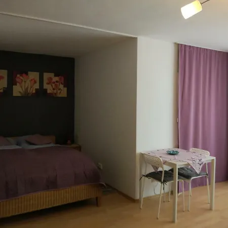 Hausburg Studio. View *