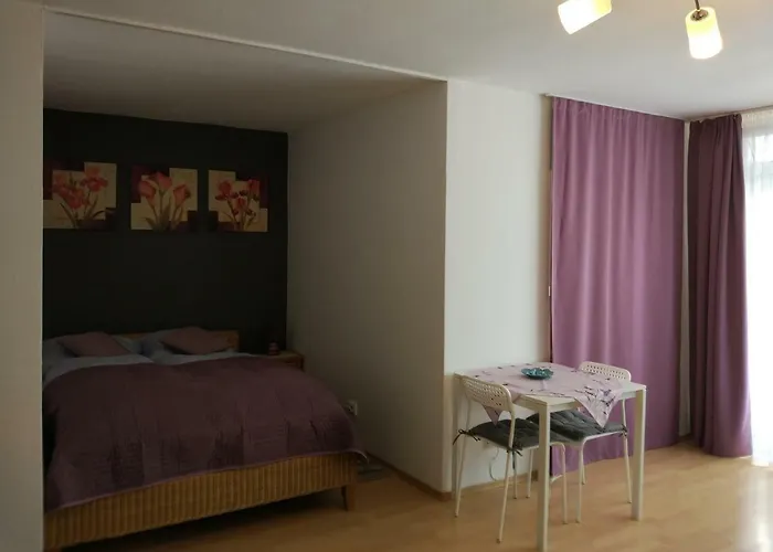 Hausburg Studio. View *