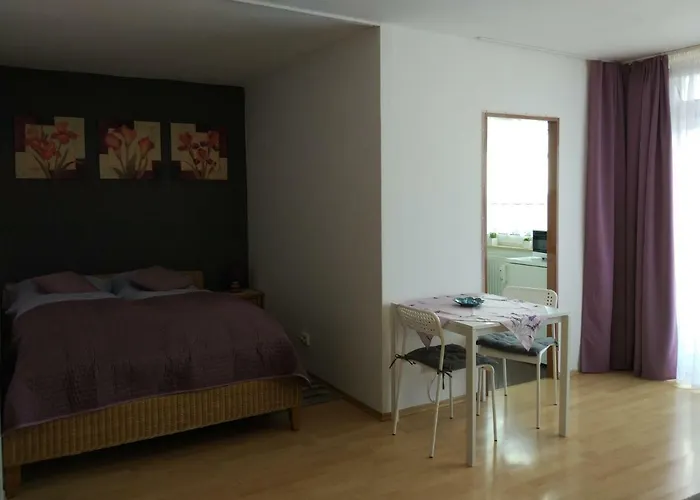 Hausburg Studio. View Apartmán
